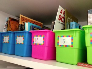 Student created book bins with selected books
